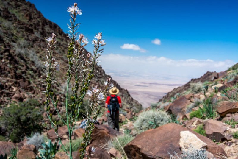 The Dana to Petra Trek: A Journey Through Time and Terrain