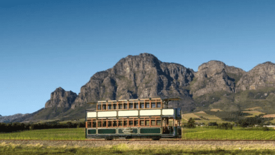 Franschhoek Wine Tram South Africa [[2025] Reviews]