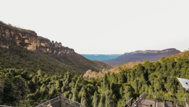 The 5 Best Blue Mountain Tours from Sydney