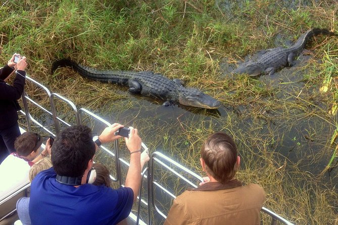 Florida Everglades Airboat Tour and Wild Florida Admission with Optional Lunch - source