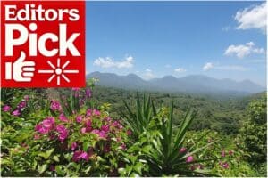 Full-Day Ruta de Las Flores: Colonial Towns & Coffee Farm