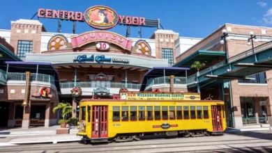 Tampa Trolley Map & Guide: Explore Tampa & Ybor City