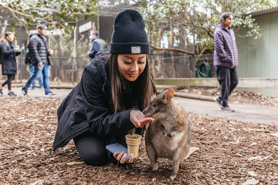 Day Trips from Sydney: All-Inclusive Blue Mountains Day Tour