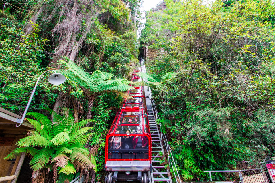 Day Trips from Sydney: Blue Mountains Scenic World, Zoo & Ferry Ride