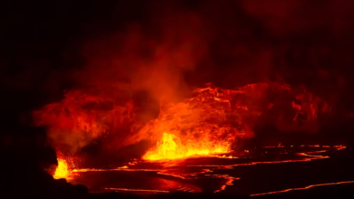 Kilauea Volcano Over the Years: Hawaii: Big Island Volcanoes Day Tour with Dinner and Pickup