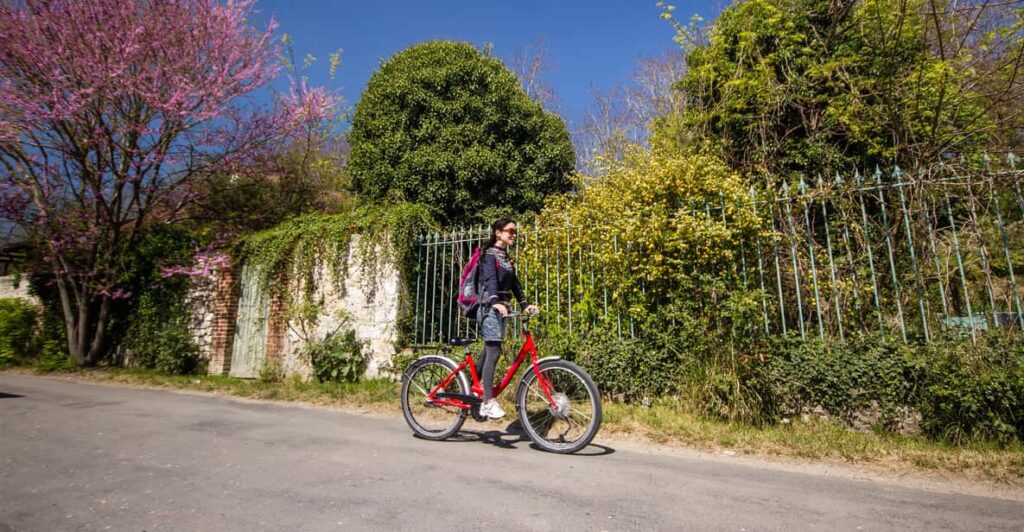 From Paris: Monet Garden & Giverny Bike Tour and Picnic Stop