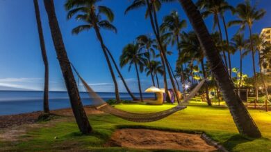 Tours from the Kaanapali Hotel