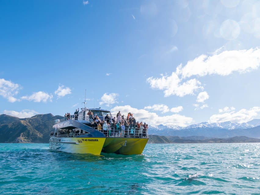 Kaikoura 2-Hour Whale Watching Cruise