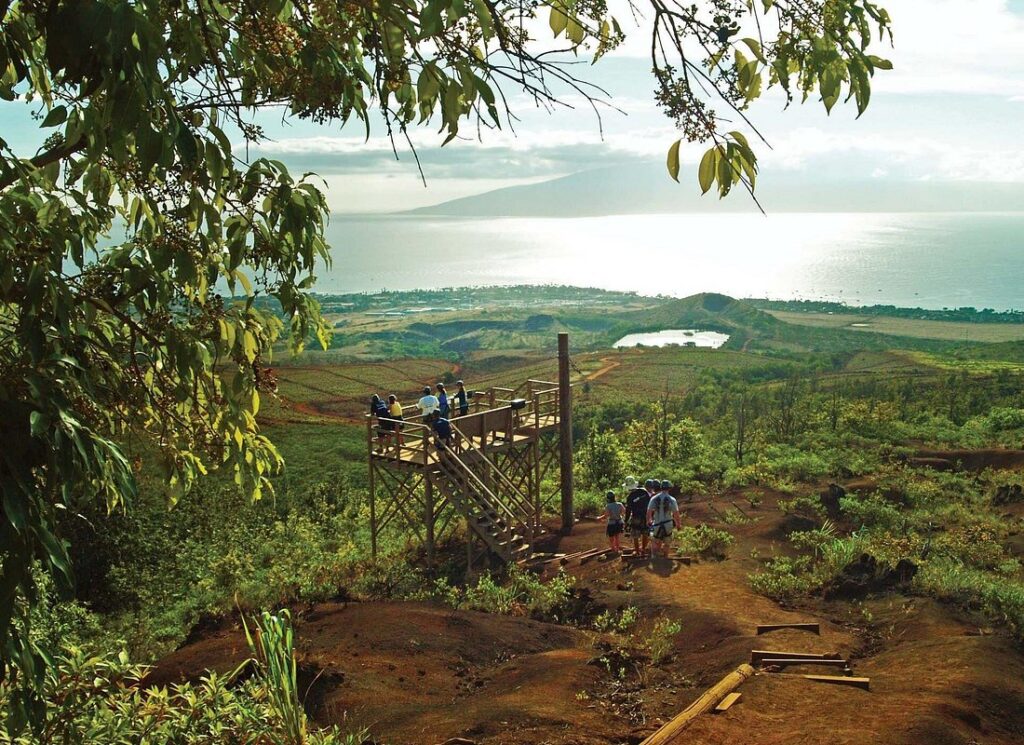 Maui Epic Zipline Adventure Soar Above Valleys & Islands Views