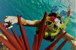 Molokini Crater Zodiac Adventure Snorkel and Turtle Cove Swim