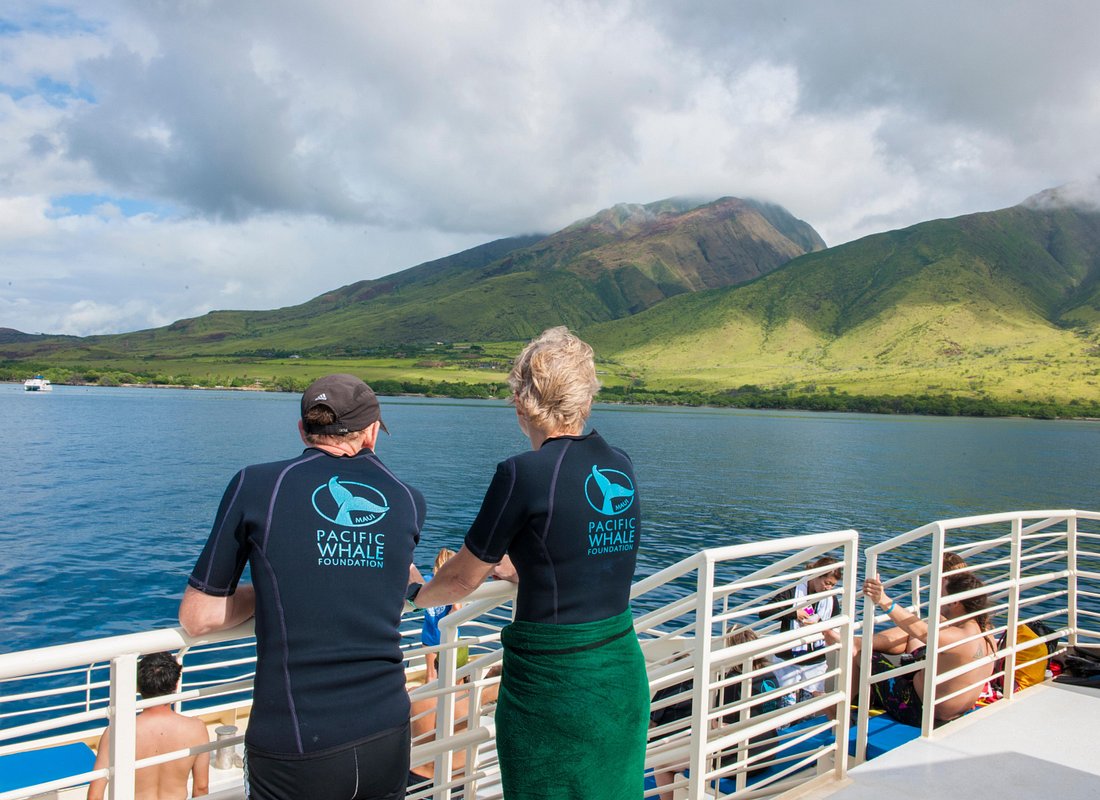Molokini and Turtle Arches Snorkeling Trip from Ma'alaea Harbor