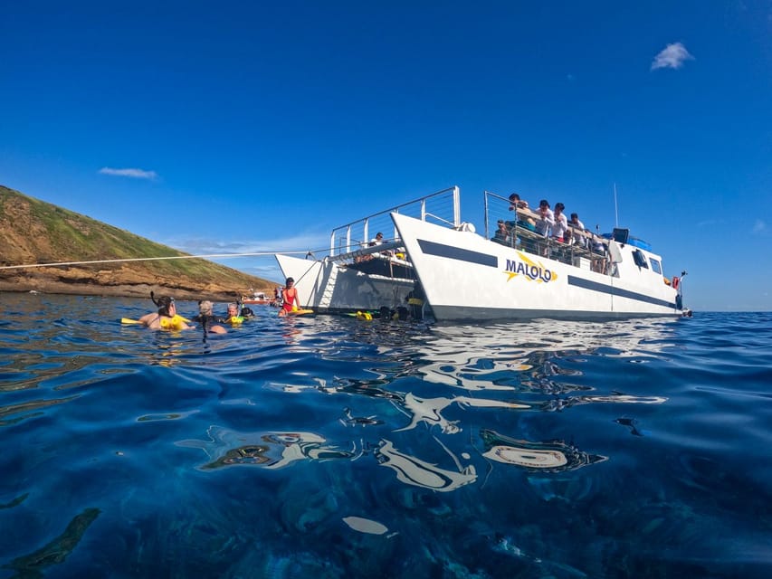 South Maui: PM Snorkel to Coral Gardens or Molokini Crater