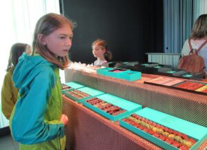 Sweet & Chocolate Family Treasure Hunt in Paris