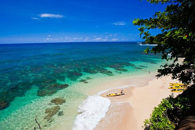 Hanalei River Paddle and Bay Snorkel Tours