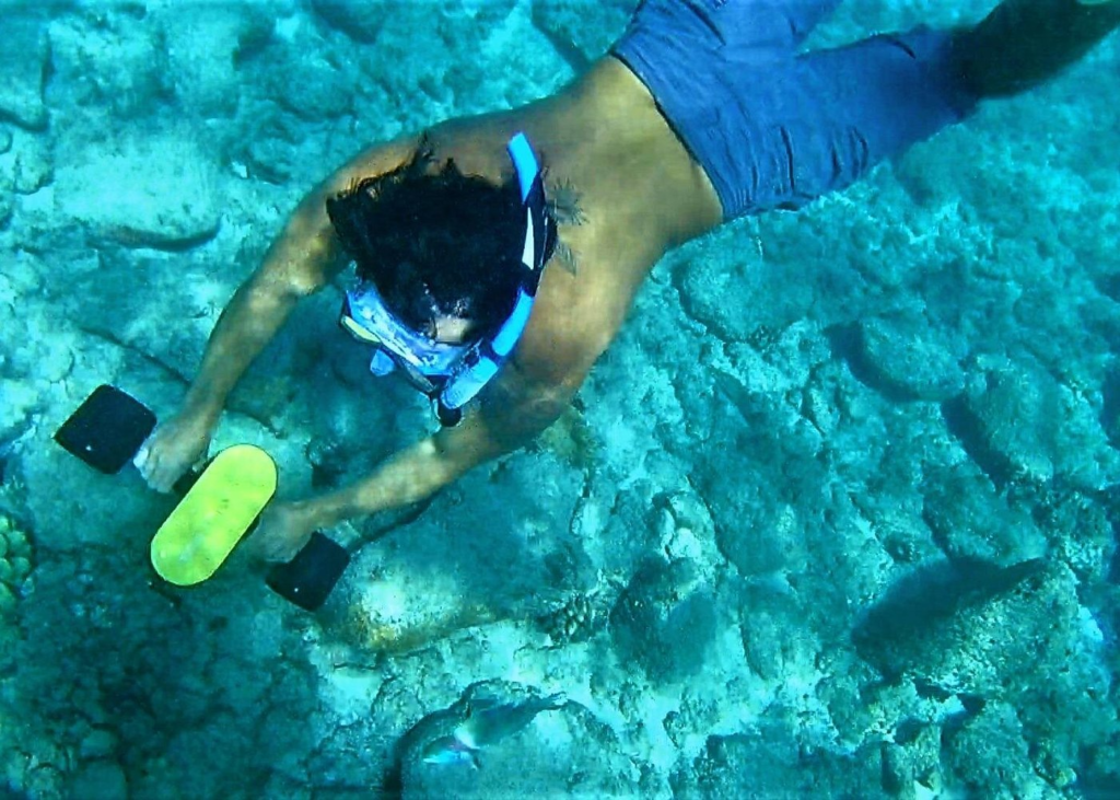 Kauai Snorkeling Adventure