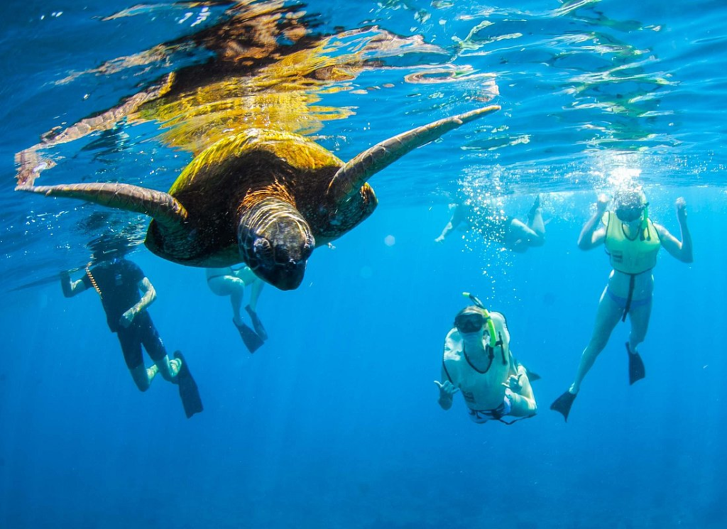 Kauai's Ultimate South Island Zodiac Boat Snorkel Adventure