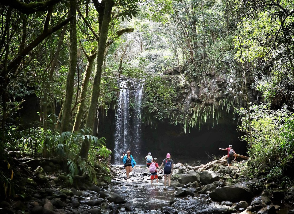 Waterfall & Rainforest Hiking Adventure with Hotel Pickup