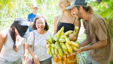 Maui Tropical Plantation Tours: Taste of Hawaii: A Maui Farm Tour