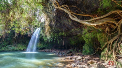 Maui Iao Valley Tour: Self-Guided Audio Driving Tour in Maui