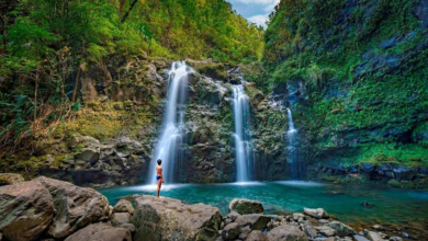 Hawaii Travel Guide: Famous Road to Hana Waterfalls and Lunch by Mercedes Van