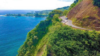 Best Road to Hana Tours: Famous Road to Hana Waterfalls and Lunch by Mercedes Van