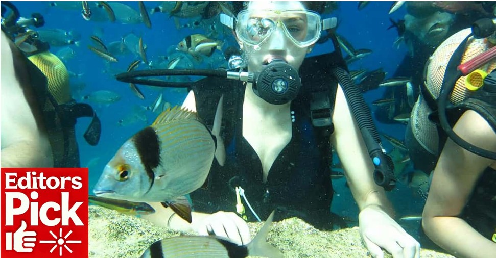 Antalya/Kemer: Scuba Diving Experience with Lunch & Pick up