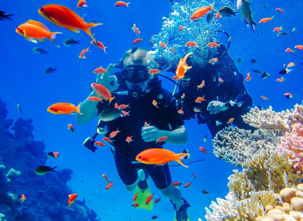 Exciteful Scuba Diving Experience in Antalya