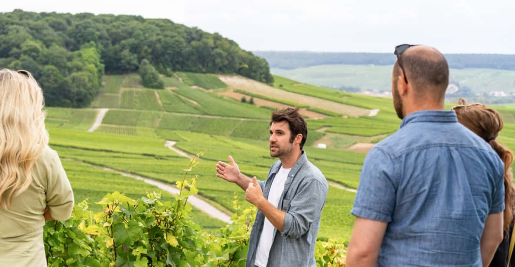 Tour image for From Paris: Day Trip to Champagne with 8 Tastings & Lunch