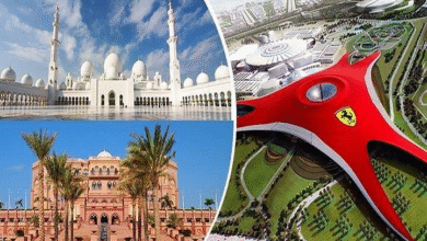 8 Best Abu Dhabi Tours from Dubai ([year] Reviews)