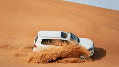 8 Best Dubai Desert Safari Tours ([year] Reviews)
