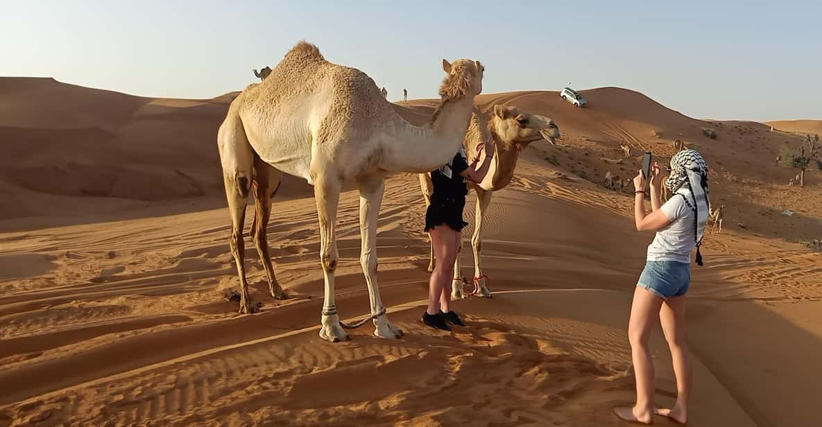 Tour image for Dubai: Evening Red Dunes Desert Safari with Buffet Dinner