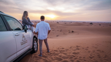 8 Best Evening Desert Safaris in Dubai ([year] Reviews)