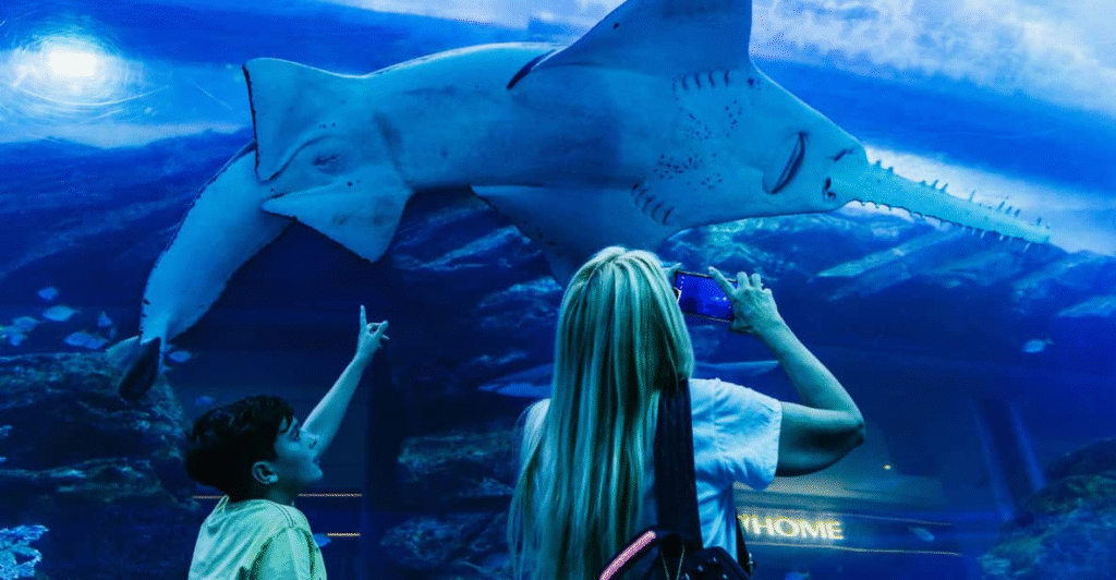 Dubai: Aquarium & Burj Khalifa Levels 124 & 125 Combo Ticket