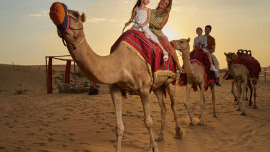 What to Wear on a Dubai Desert Safari ([year] Guide)