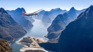 8 Best Milford Sound Tours from Queenstown ([year] Reviews)
