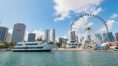 The 10 Best Miami Tours and Water Adventures [[year] Reviews]