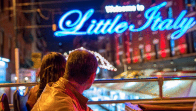 7 Best NYC Night Bus Tours ([year] Reviews)