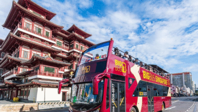 4 Best Singapore Hop-On Hop-Off Bus Tours ([year] Reviews)