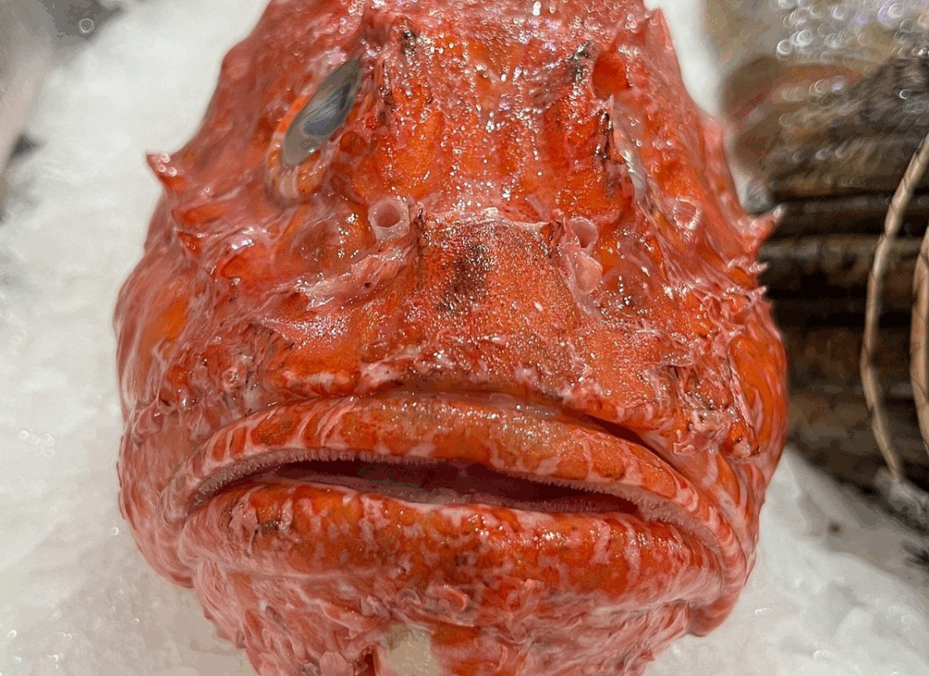 Morning market tour with chef selecting fresh seafood and vegetables for Lisbon cooking class and lunch experience