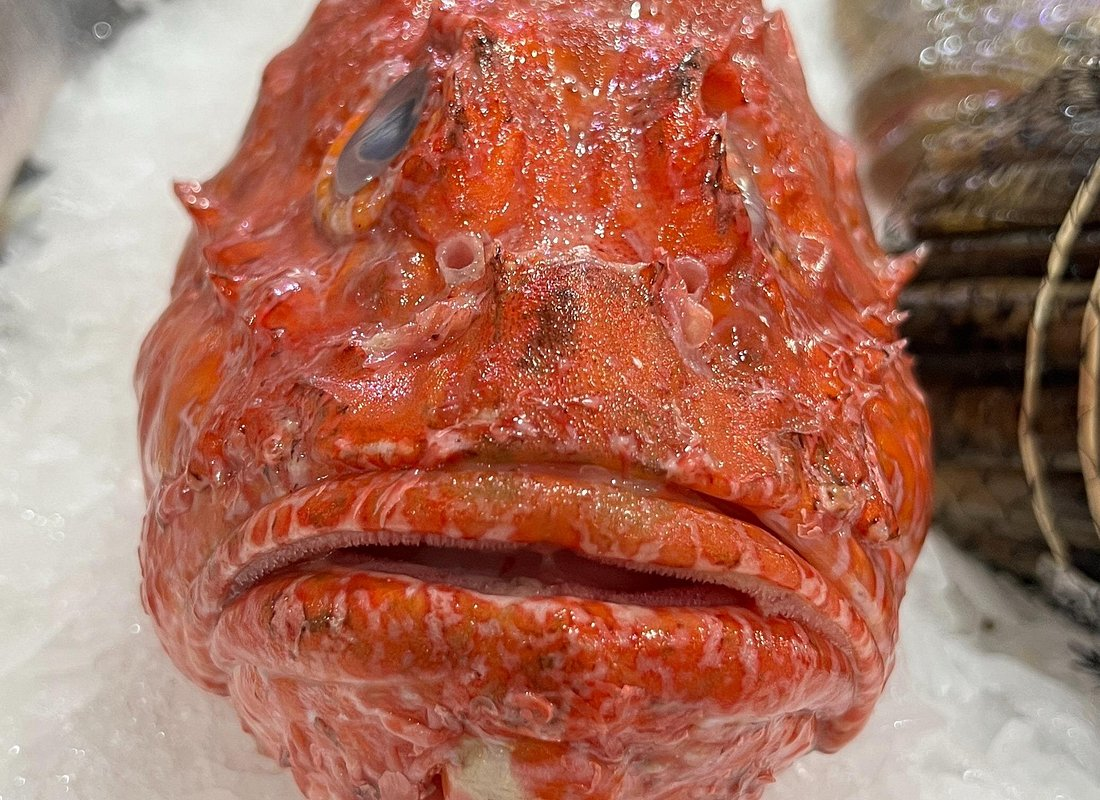 Tour image for Lisbon Market and Food Tour with Cooking Class and Lunch