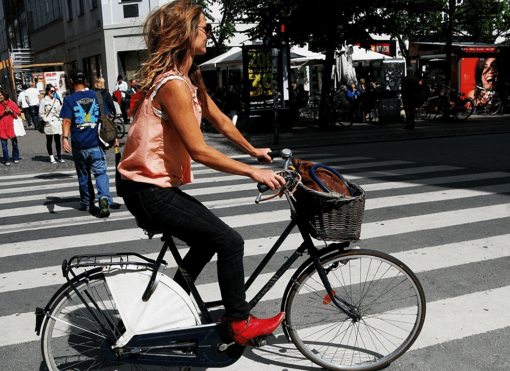 Woman cycling across a city crosswalk during a copenhagen bike tour, showcasing everyday bike culture in Copenhagen.