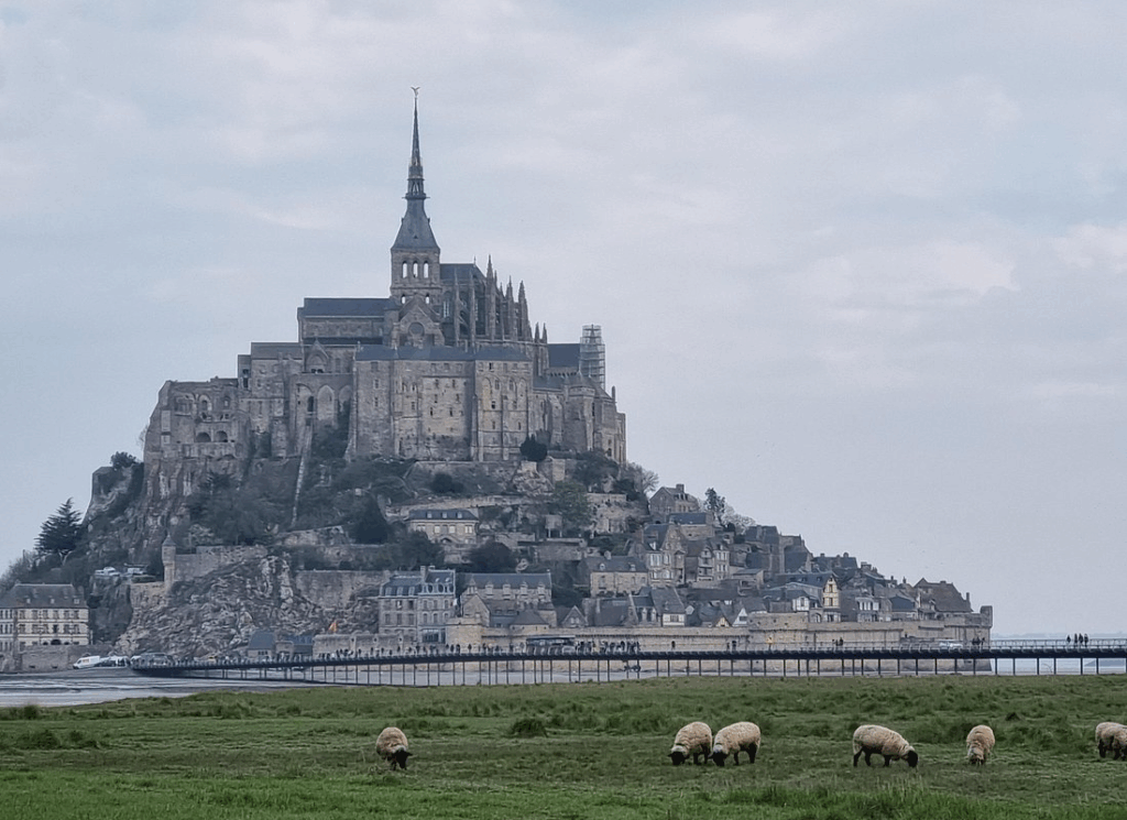 Mont Saint Michel tours featuring the abbey rising above the causeway with grazing sheep in the surrounding Normandy salt marshes