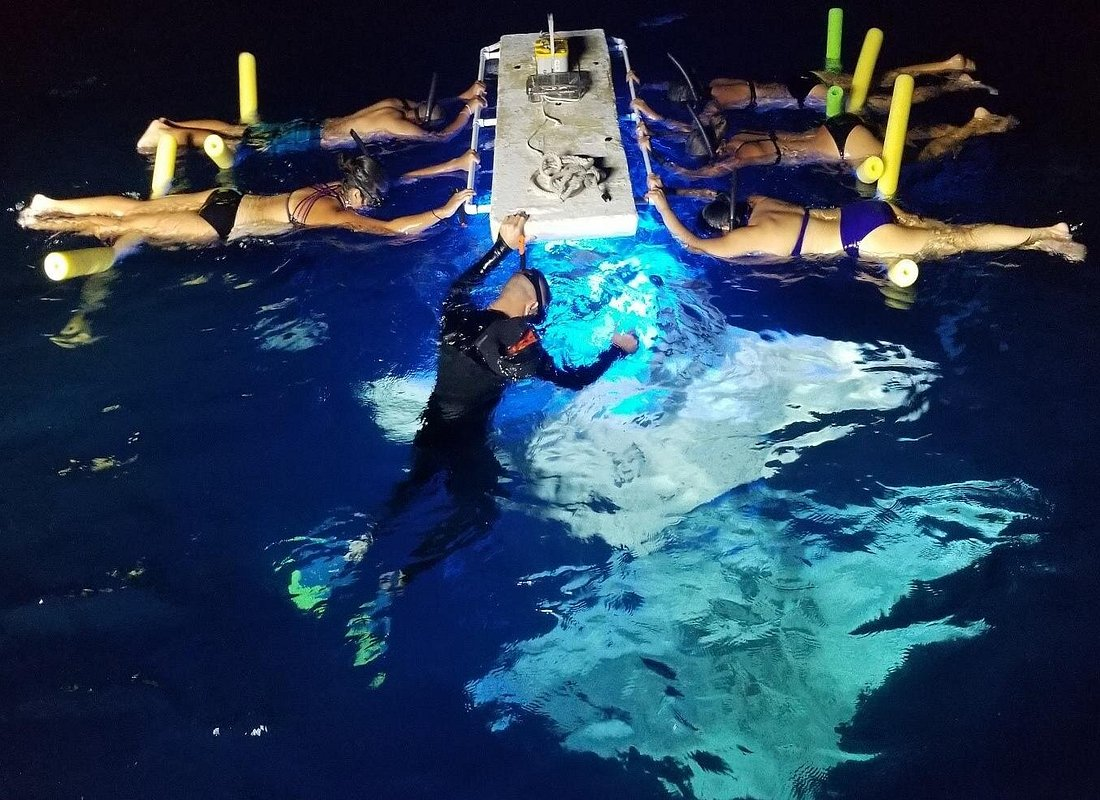 KONA Manta Ray Night Snorkel - FREE re-ride if no Sightings