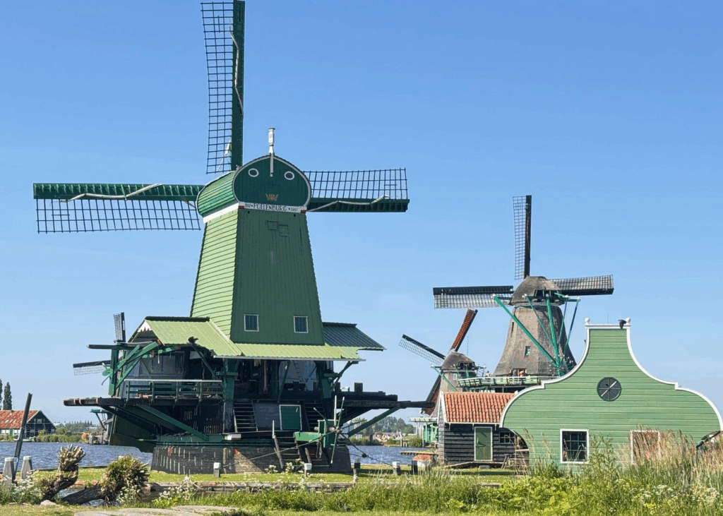 City bike tours in Amsterdam showing cyclists riding along canals and dedicated urban bike lanes