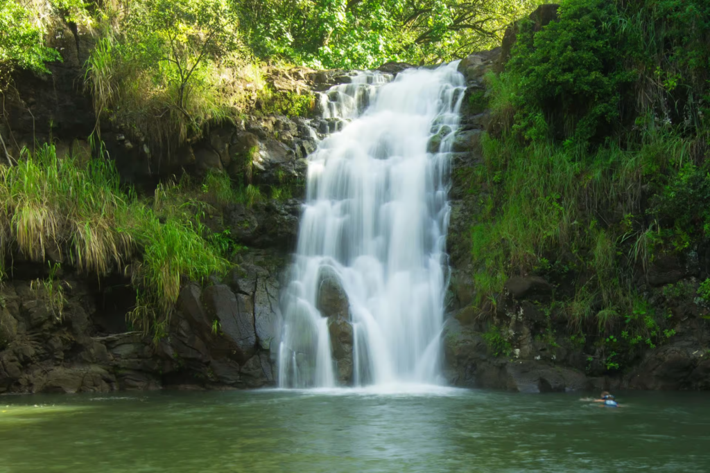 Lush tropical waterfall cascading into a jungle pool visited during a scenic circle island tour oahu.